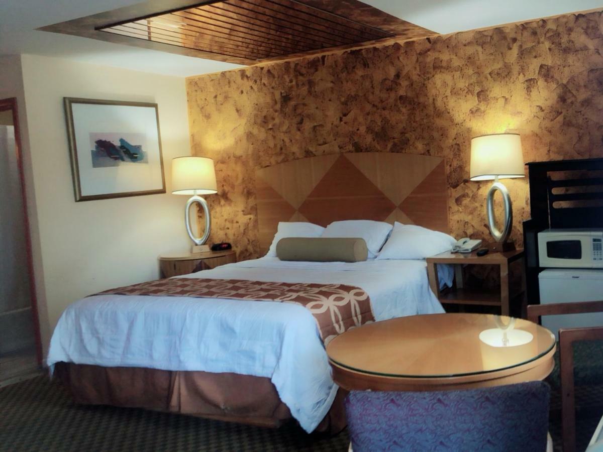 Sunflower Inn Galloway Buitenkant foto